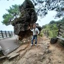 월곡초교 이미지