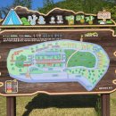 상소동 산림욕장(하) | 대전 동구 상소동 오토캠핑장 :: 반려견동반가능...캠핑장, 대전 상소동, 상소동산림욕장, 오토캠핑 후기