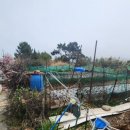 중화 이미지