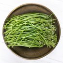 청풍명월농장 쇼핑하우