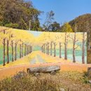 데미샘자연휴양림 이미지