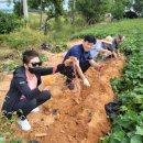 김남순농장 이미지