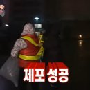 네일오디트