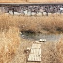 군학마을 군영구미 | [남파랑길] 77코스~78코스(비봉공룡공원-원등마을) 25/02/25---겉도는 햇살~