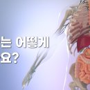 음식의 소화는 어떻게 이루어질까? 소화기관 및 흡수 과정 이미지