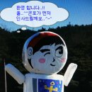 새만금 청보리농장 이미지