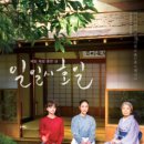일일시호일