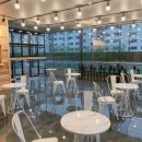 루프앤독 이미지