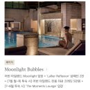 아름다운 세상 모두함께 | 서울 신라호텔 이그제큐티브 라운지 이용 후기｜애프터눈티·해피아워·조식 총정리