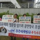 둥글이네 이미지