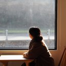 스테이두모 이미지