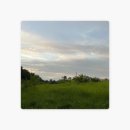 플리Playlist | 무더운 여름의 오후, 매미소리는 나른하고 [PlayList]