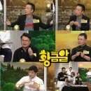 황금알 티브이데일리