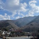 얼음골향림 이미지