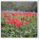 대창초등학교 이미지