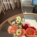 효스테이 이미지