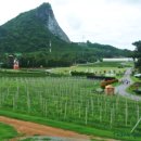 만기농장 이미지