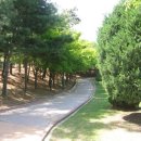 수원올림픽공원 이미지