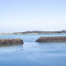 주일 카서비스 이미지