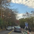 입곡군립공원(운동장앞) | 경남 단풍 명소 함안 입곡군립공원 주말 나들이 가기 좋은 산책로 (25.11.16)