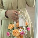 주플레르 이미지