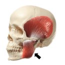 피오라의원 이미지