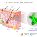 닥터웰의원 이미지