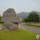 고산자연휴양림 이미지