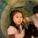 달려라킹콩 이미지