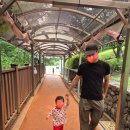 학운교 관악대로 공원쪽 | 안양 병목안시민공원, 인덕원 헤이도우 아기랑 다녀온 후기