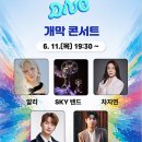 [행사] 충주 다이브 페스티벌 with MyK FSETA 관람 후기