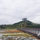 빛가람 유아숲체험원 이미지
