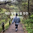 제주 동쪽 오름 추천 아부오름 난이도 낮은 소요시간 주차 정보