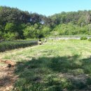 용신농장 이미지