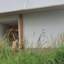 천안 카페 주식회사구공 눈들재, 오픈 족족 대박치는 이유