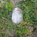 청지기공인중개사사무소 이미지