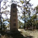 함창 오봉산 고분군 이미지