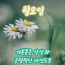 좋은 글 이미지 이미지