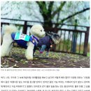 마이독 이미지