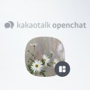 중앙플라워(생화) 이미지