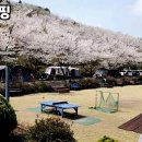 골체오름캠핑 이미지