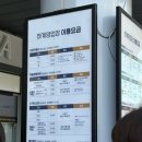 하늘소리목장 | 비발티파크 하늘양떼목장, 솔직한 후기, 곤돌라 이용 꿀팁