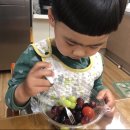 과일담꼬