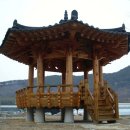 정자네 Daum카페