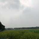 고고애월 민박 이미지
