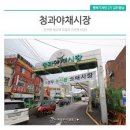 신선청과야채 이미지