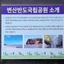 사계절민박 이미지