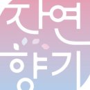 향기4로 이미지