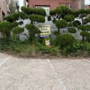 연희제일의원 이미지