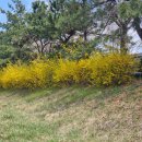 광려천 남로 이미지